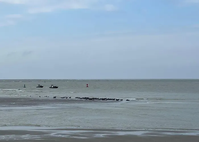 Plage à 50m Appartement Rêves ensablés Villa Les Bains de Mers